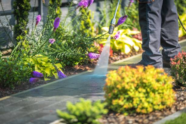 Best Sidewalk and Walkway Cleaning  in Salisbury, NC